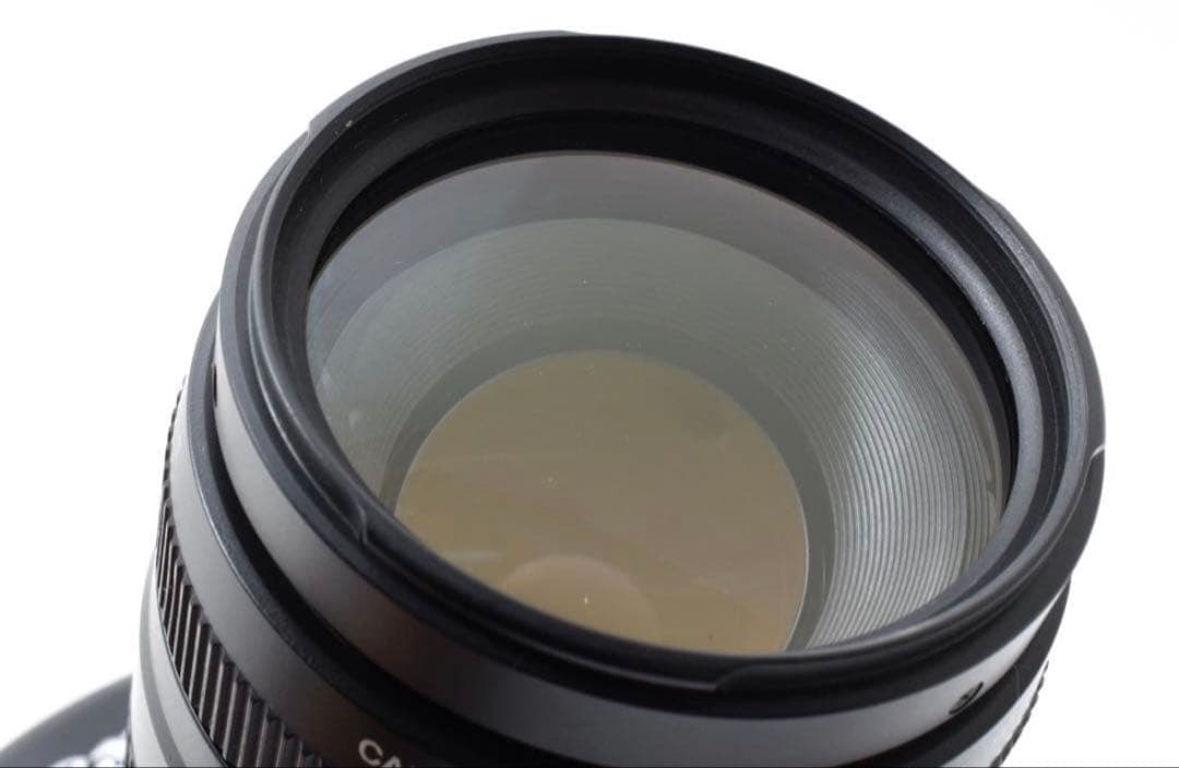 Canon Digital Slr Eos 6D Mark Ii Ef75-300Mm