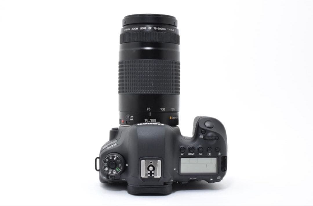 Canon Digital Slr Eos 6D Mark Ii Ef75-300Mm
