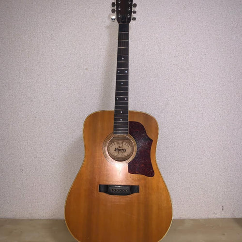 Yamaha Acoustic Guitar Morris W-20