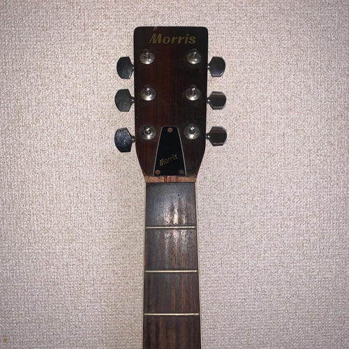 Yamaha Acoustic Guitar Morris W-20