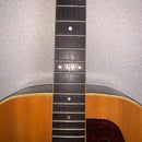 Yamaha Acoustic Guitar Morris W-20