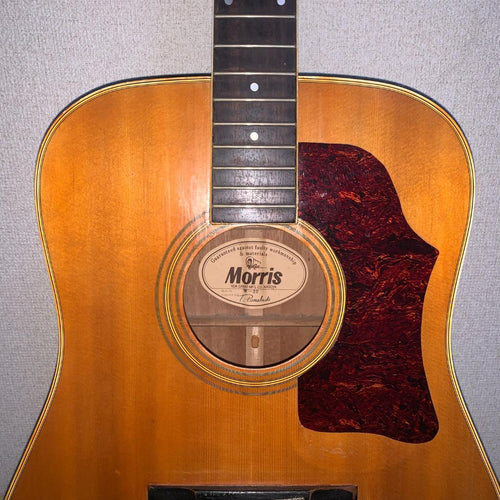 Yamaha Acoustic Guitar Morris W-20