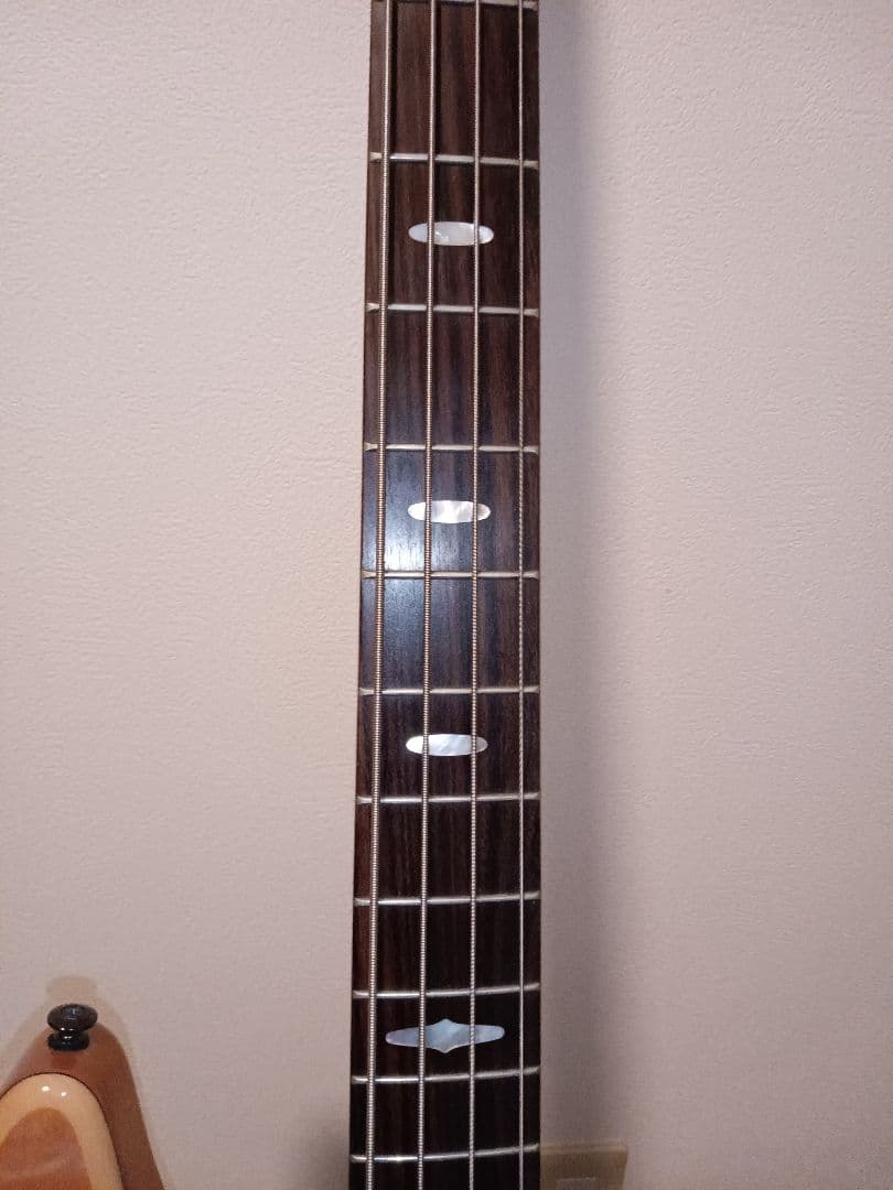 Yamaha Electric Basses Trb1004J