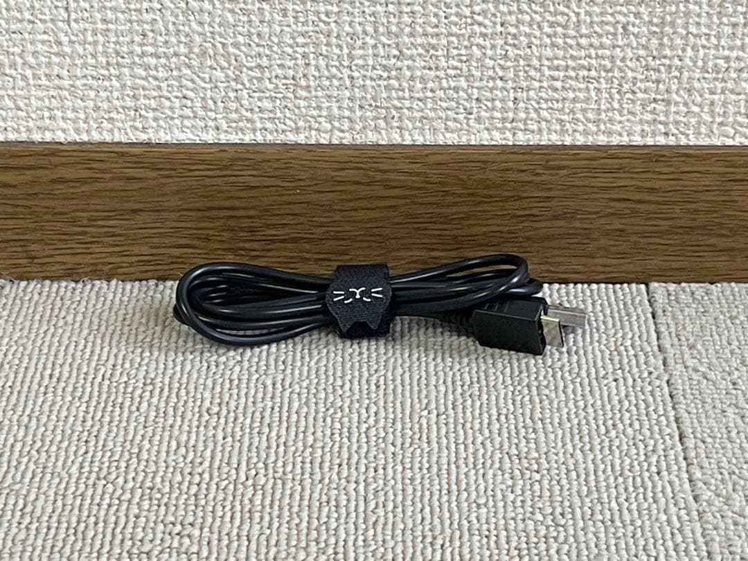 Sony Digital Audio Players