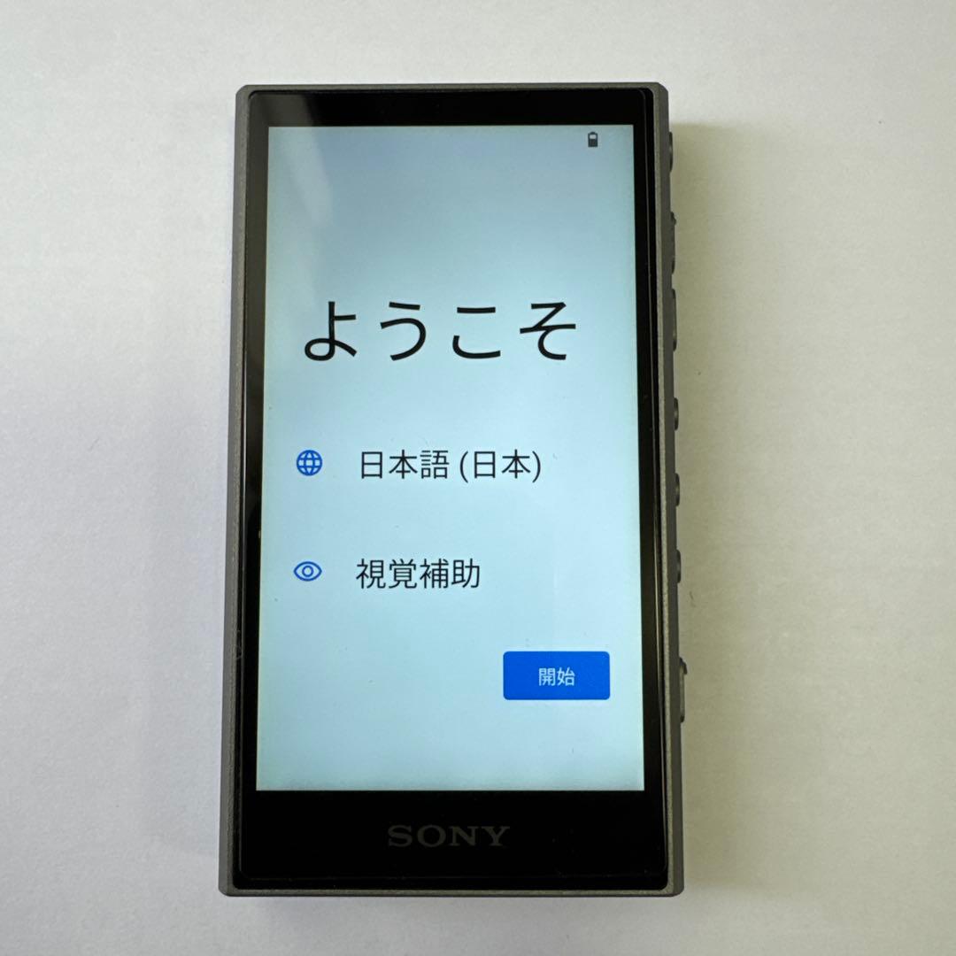 Sony Digital Audio Player Walkman Nw-A306 32Gb Sd 256Gb