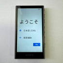 Sony Digital Audio Player Walkman Nw-A306 32Gb Sd 256Gb