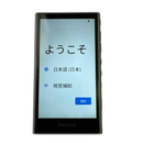 Sony Digital Audio Player Walkman Nw-A306 32Gb Sd 256Gb