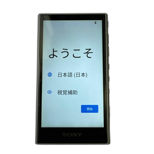 Sony Digital Audio Player Walkman Nw-A306 32Gb Sd 256Gb