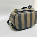 Fendi Backpacks Pvc