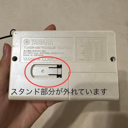 Yamaha Tuners Tdm-700