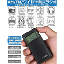Portable Tv Zhiwhis Fm/Am/ Fm Dsp Zws-105 1