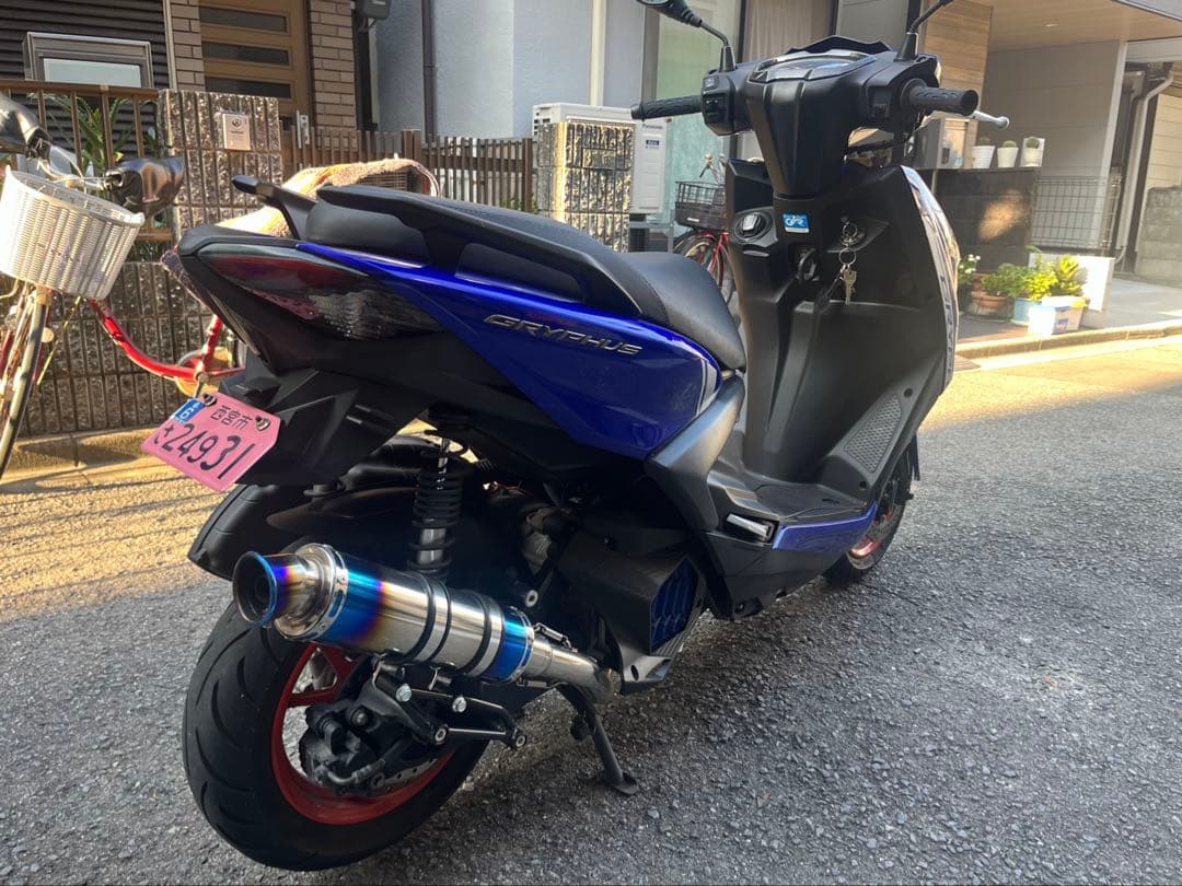 Motorcycle Frames Yamaha Cygnus Gryphus