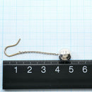 Earrings (For Both Ears) Tiffany&Co. 925 4.9G