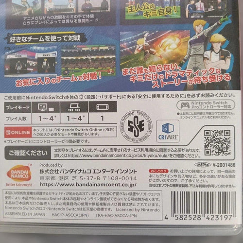 Nintendo Switch Software (Package Version) Rise Of New Champions