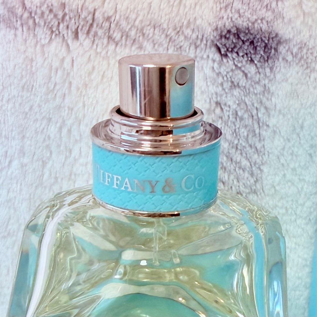Tiffany Other Co. 75Ml