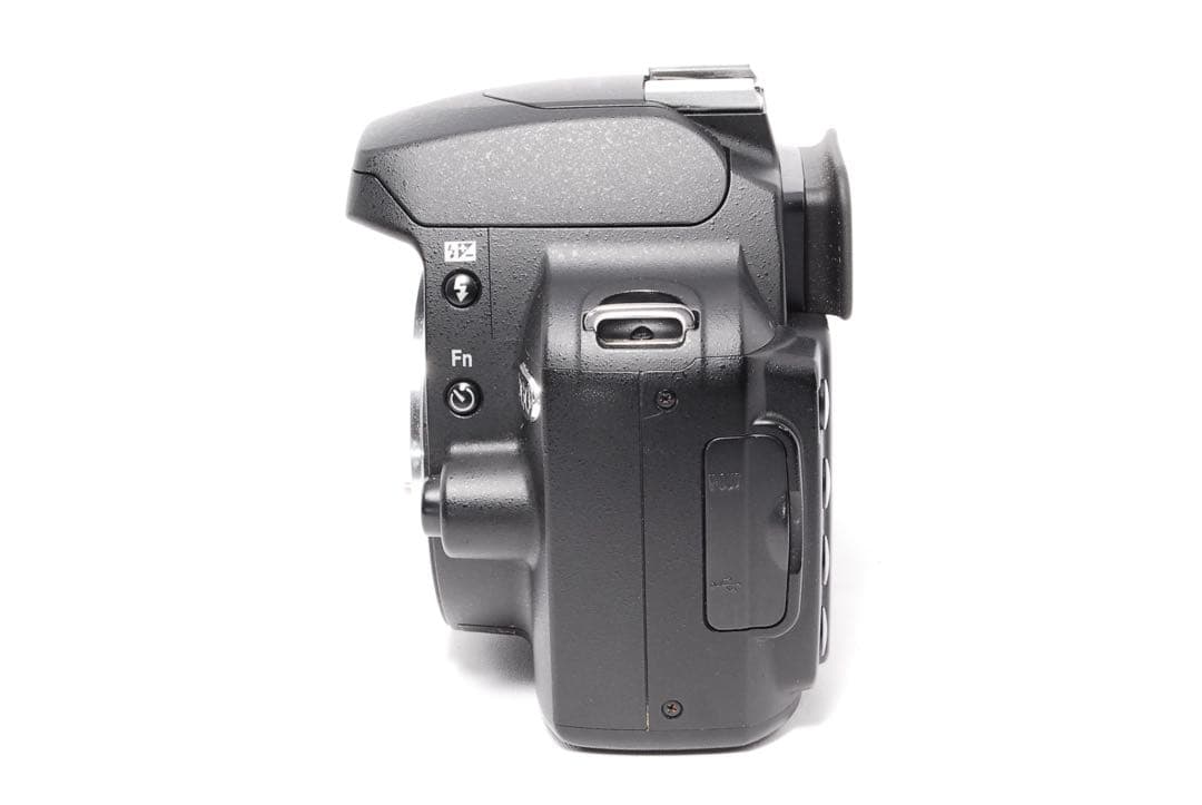 Nikon Digital Slrs D60