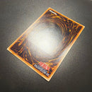 Yu-Gi-Oh! Ocg Duel Monsters (Japanese)