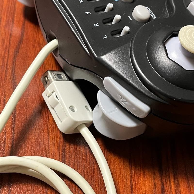 Hori Controller