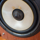Onkyo Speakers D-S7Gx