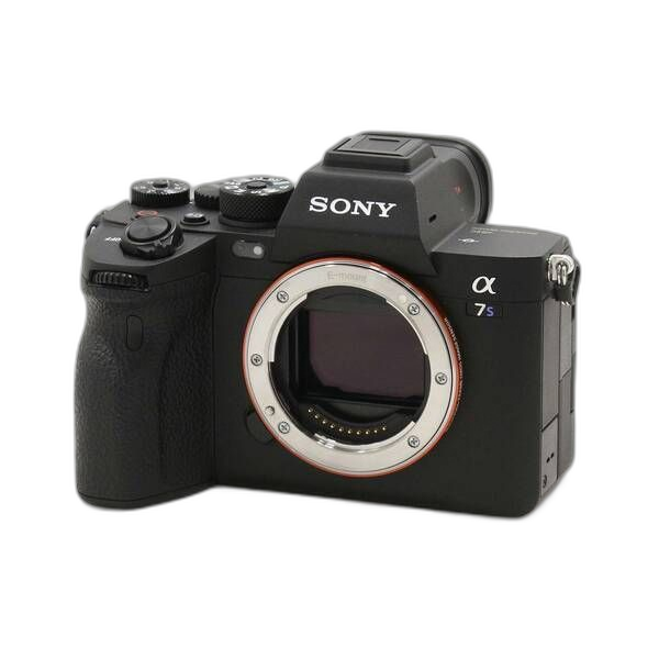 Sony Mirrorless Interchangeable Lips 7S Iii Ilce-7Sm3 262
