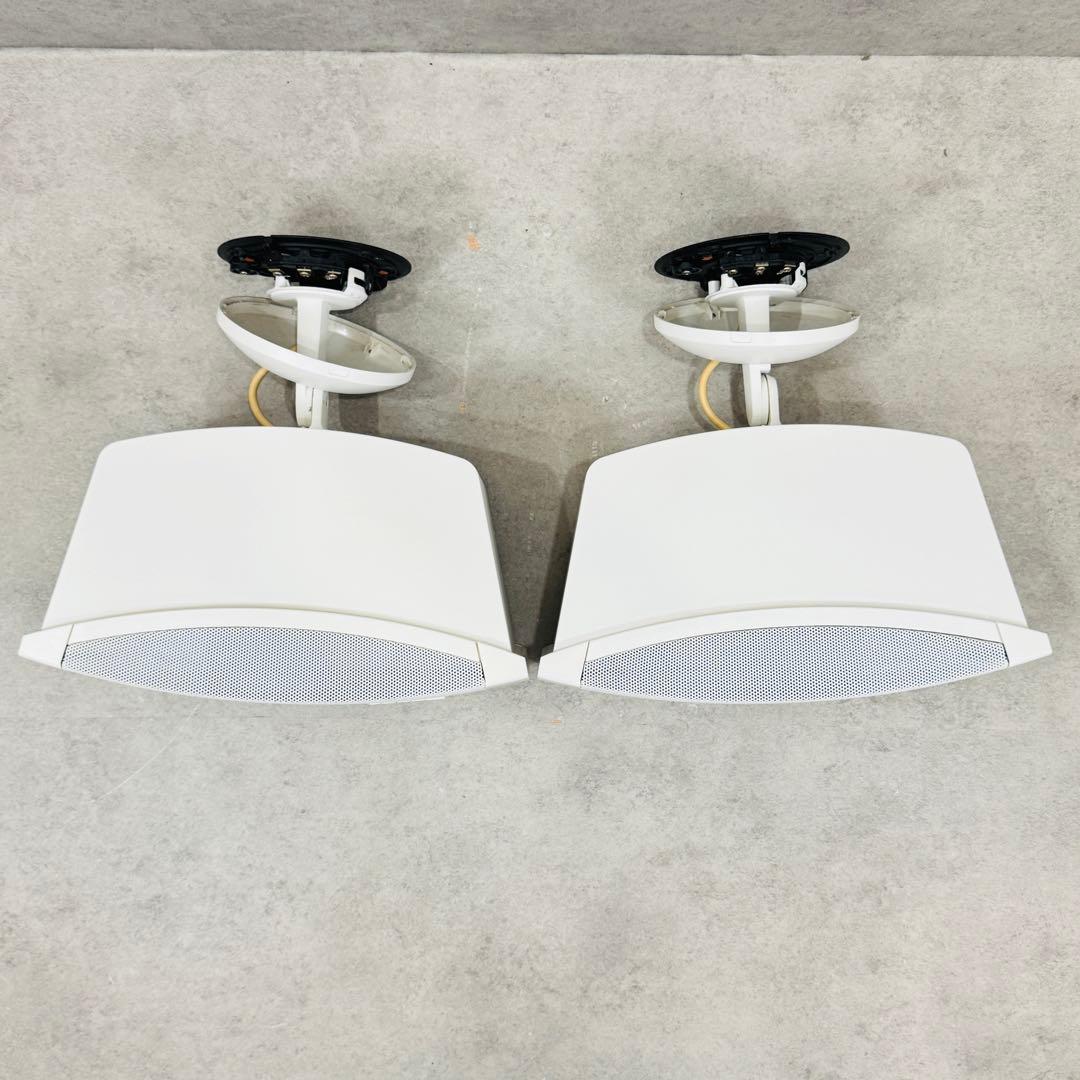 Bose Speakers Ds 100Se Loudspeaker