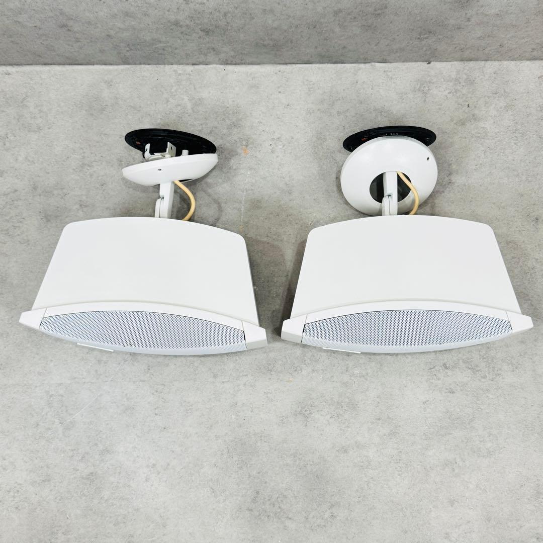 Bose Speakers Ds 100Se Loudspeaker