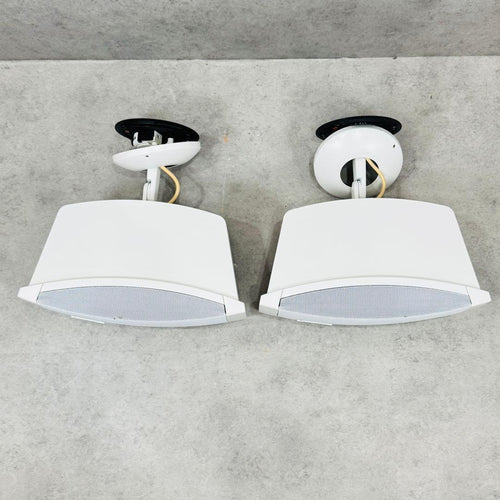 Bose Speakers Ds 100Se Loudspeaker