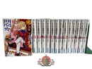 Literature Novel 14