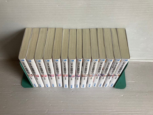 Literature Novel 14