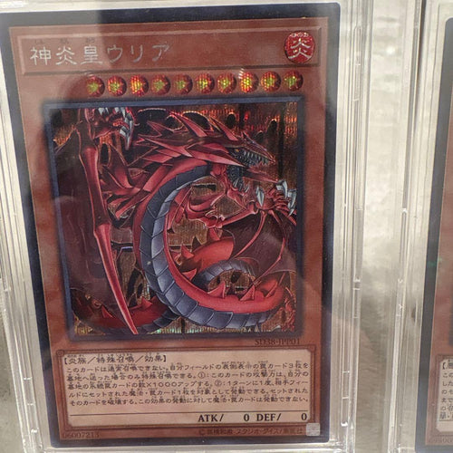 Yu-Gi-Oh! Ocg Duel Monsters (Japanese)