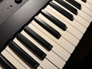 Keyboards Digital Pianos Korg Liano 88