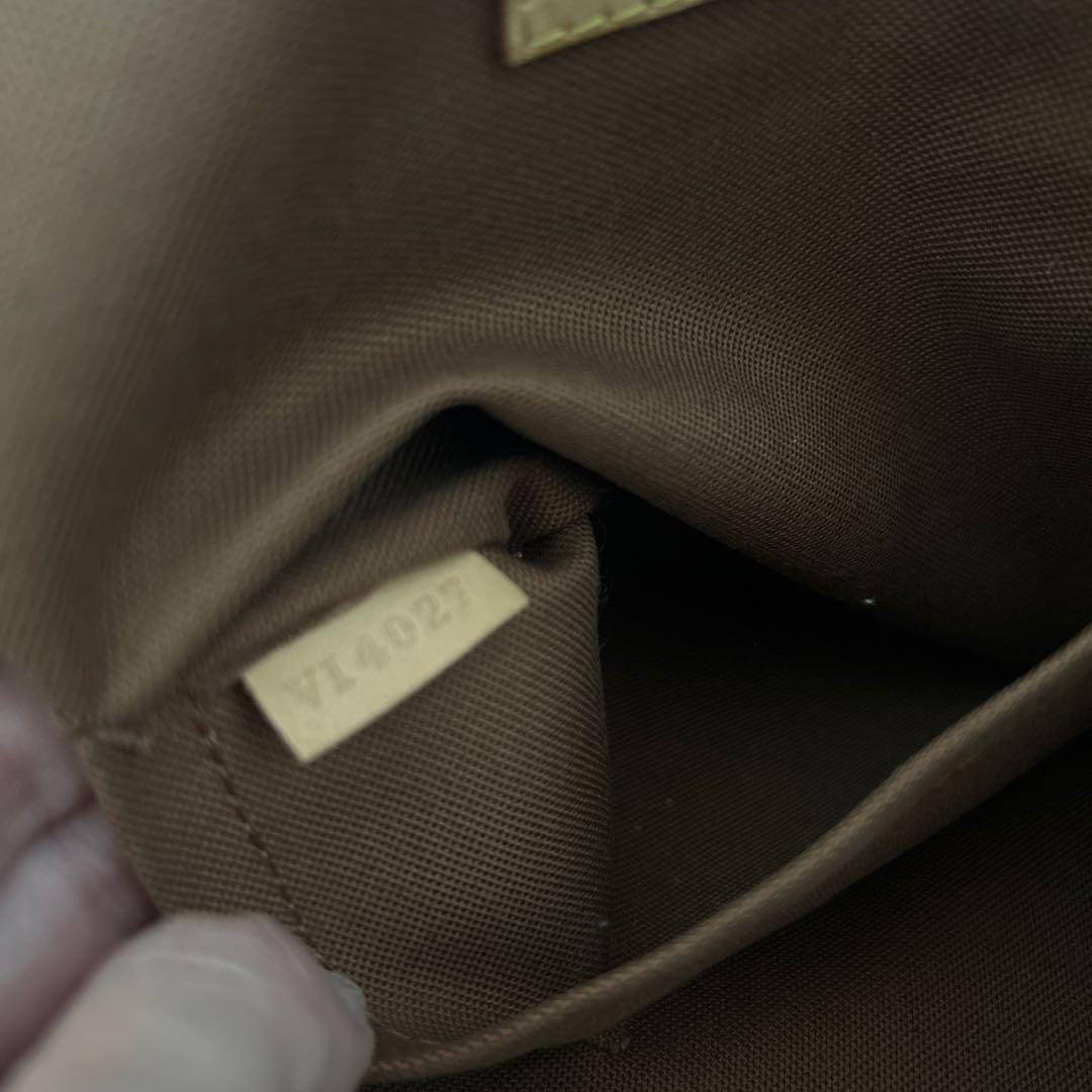 Louis Vuitton Handbags Monogram