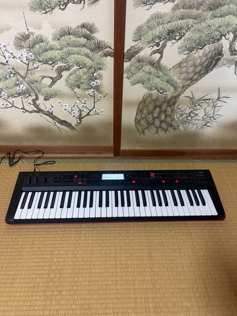 Korg Keyboards Digital Pianos Kross-61