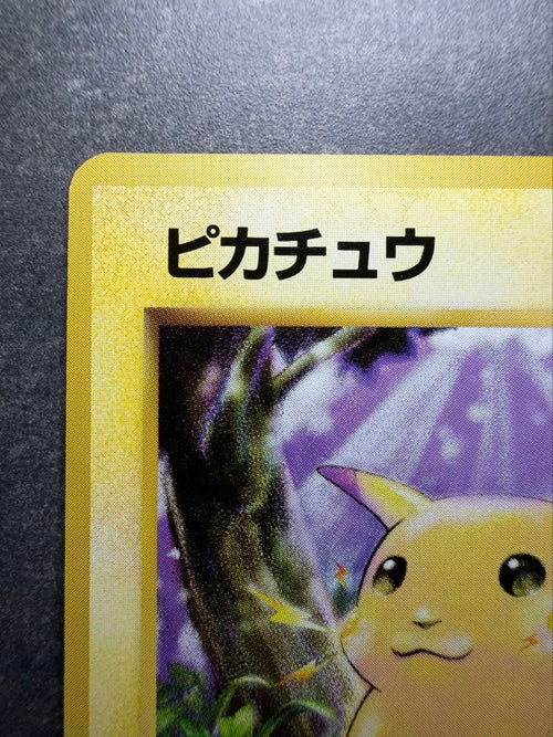 Pok Mon Trading Card Game