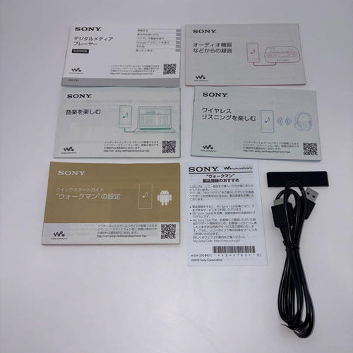 Sony Digital Audio Players Walkman Nw-Zx1 128Gb