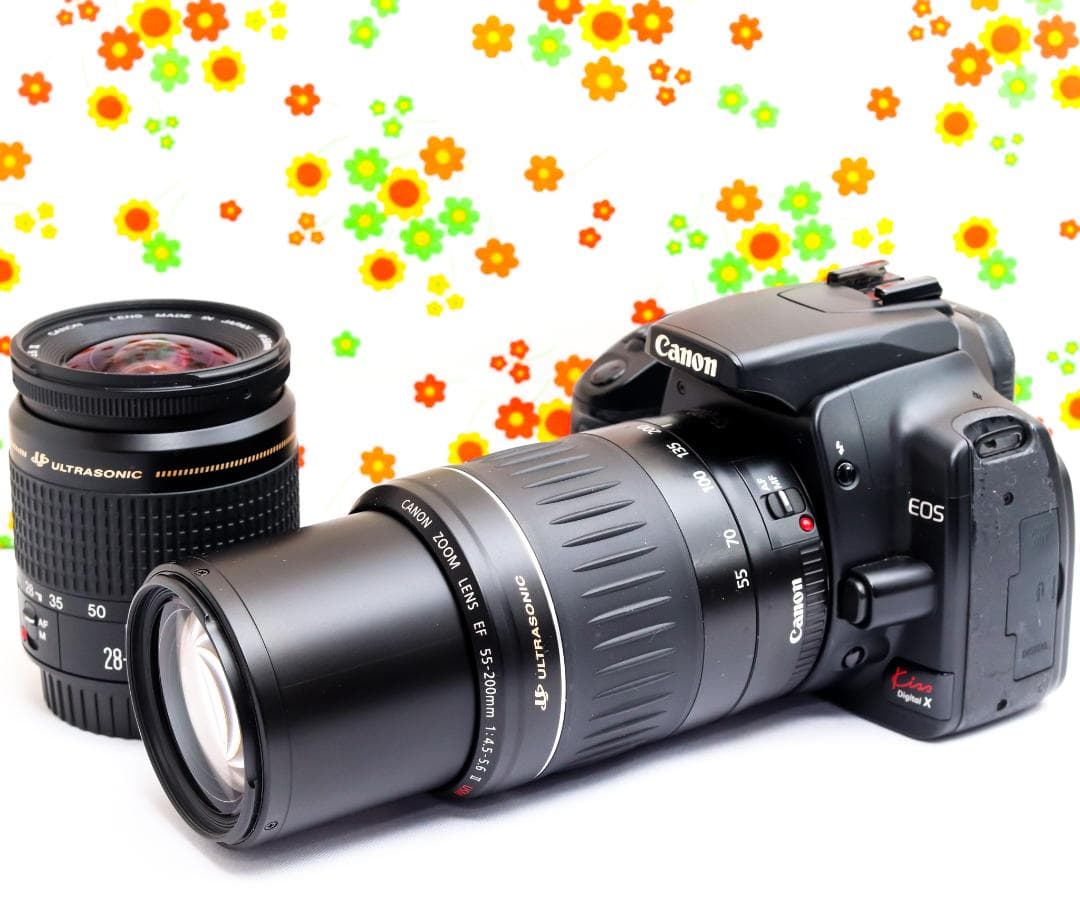 Canon Digital Slrs Kiss X