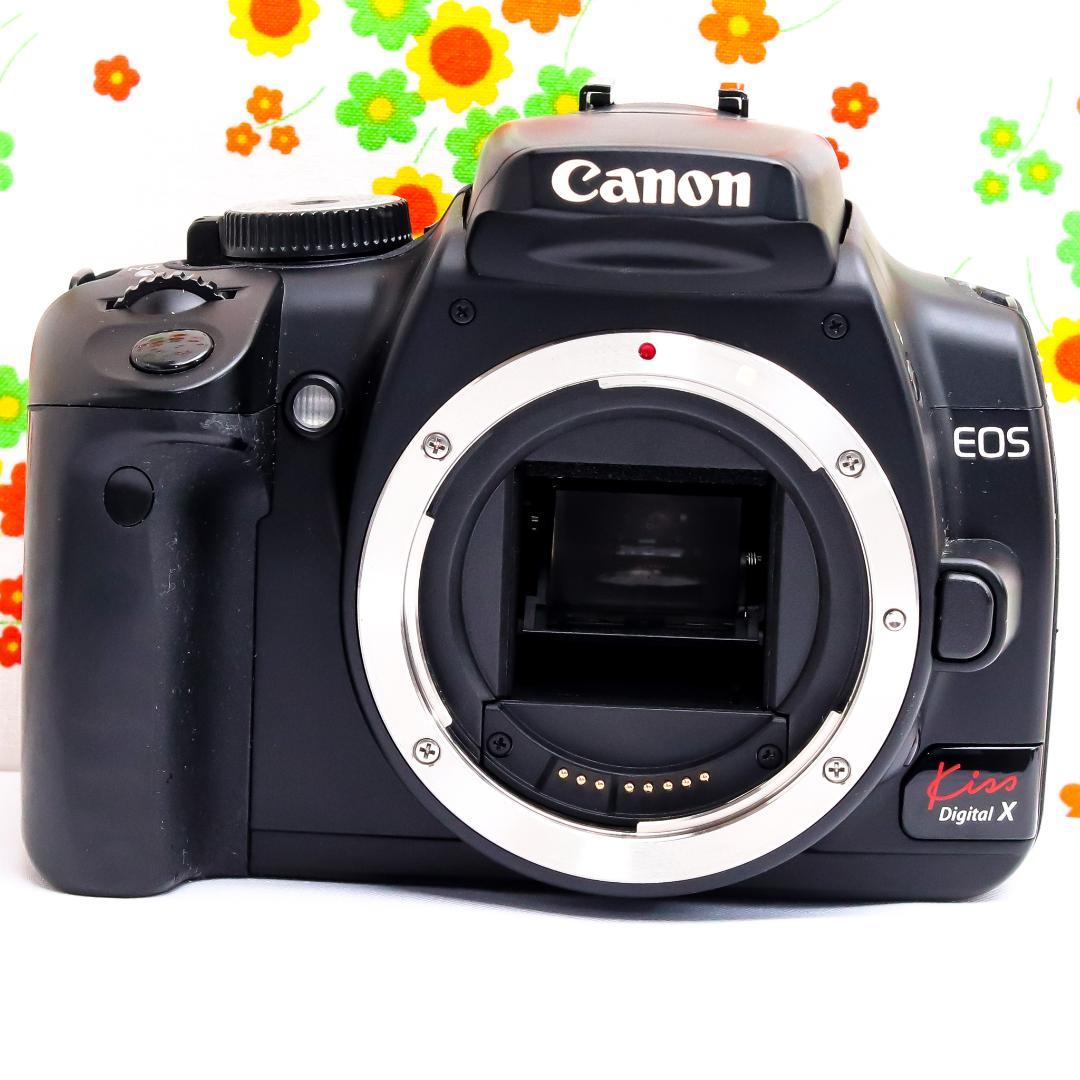 Canon Digital Slrs Kiss X