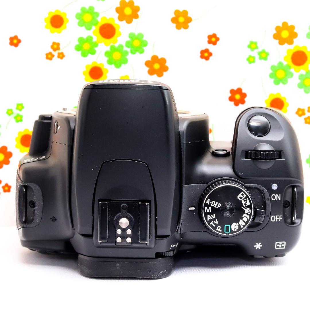Canon Digital Slrs Kiss X
