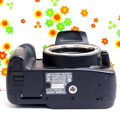 Canon Digital Slrs Kiss X