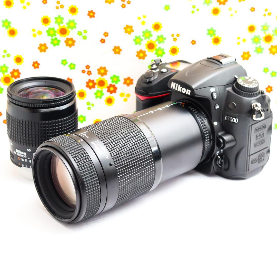 Nikon Digital Slr D7000