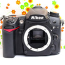 Nikon Digital Slr D7000