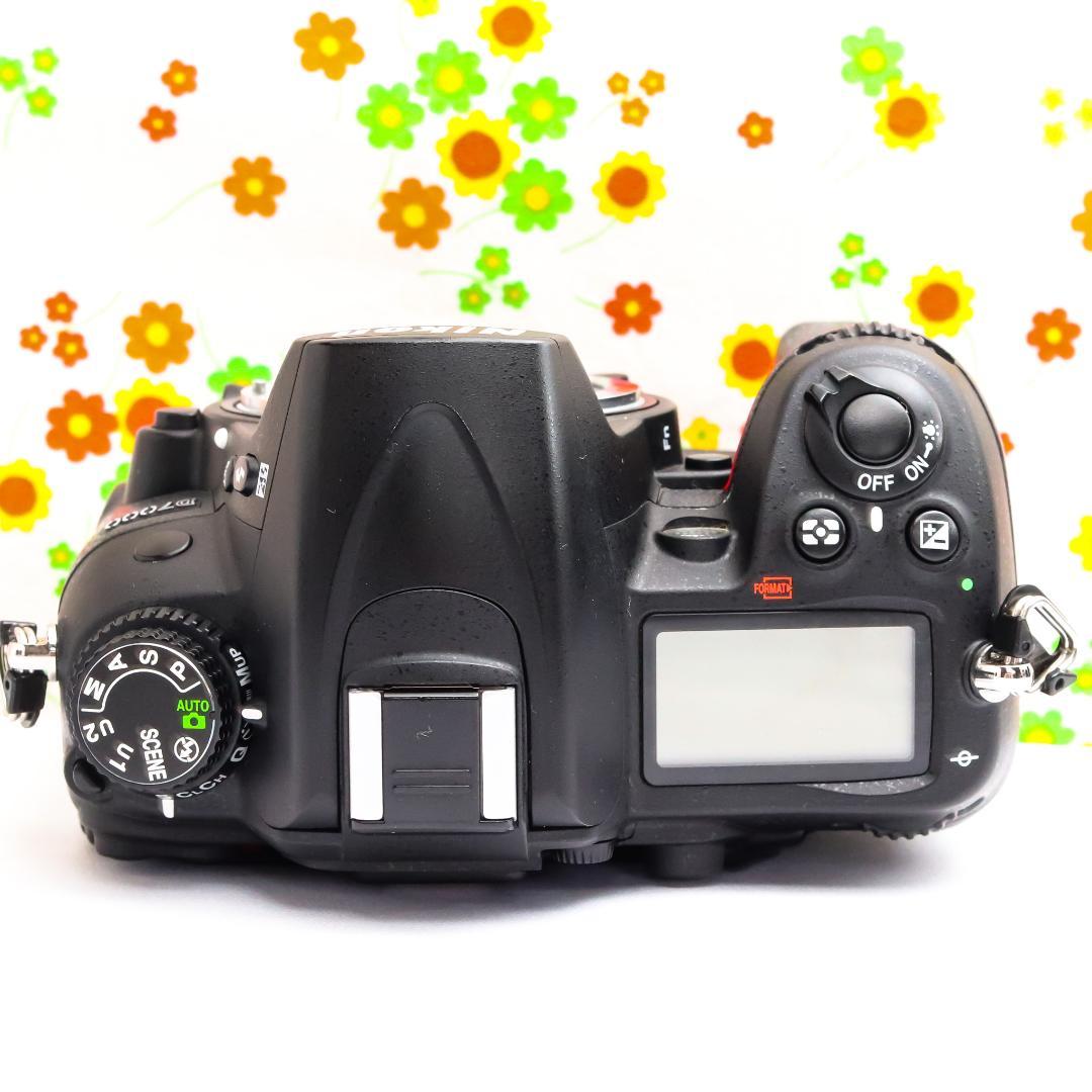 Nikon Digital Slr D7000