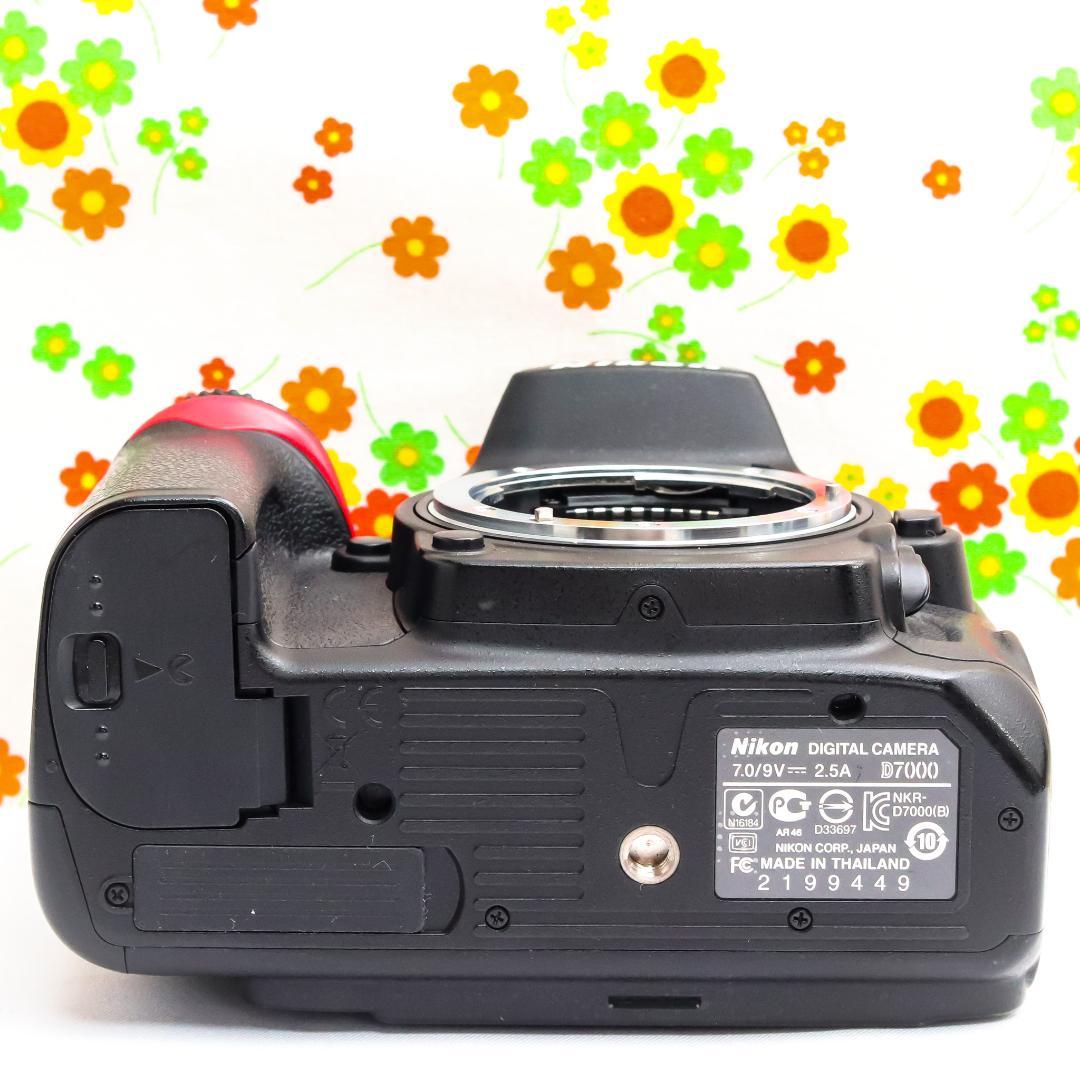 Nikon Digital Slr D7000