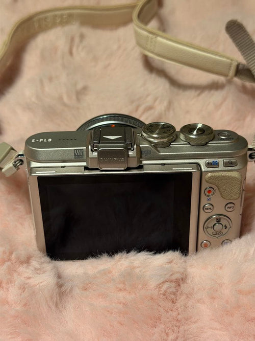 Olympus Mirrorless Interchangeable Lens Cameras Pen E-Pl8