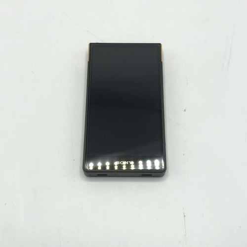 Sony Digital Audio Player Walkman Nw-Zx707 [10]