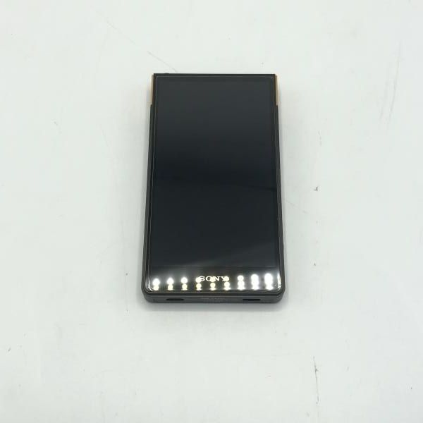 Sony Digital Audio Player Walkman Nw-Zx707 [10]