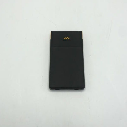 Sony Digital Audio Player Walkman Nw-Zx707 [10]