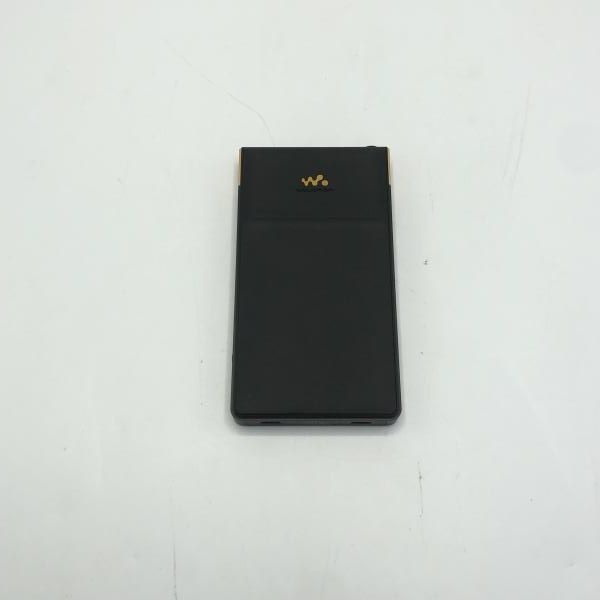 Sony Digital Audio Player Walkman Nw-Zx707 [10]