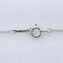 Tiffany Necklace Tiffany&Co. 925 2.8G