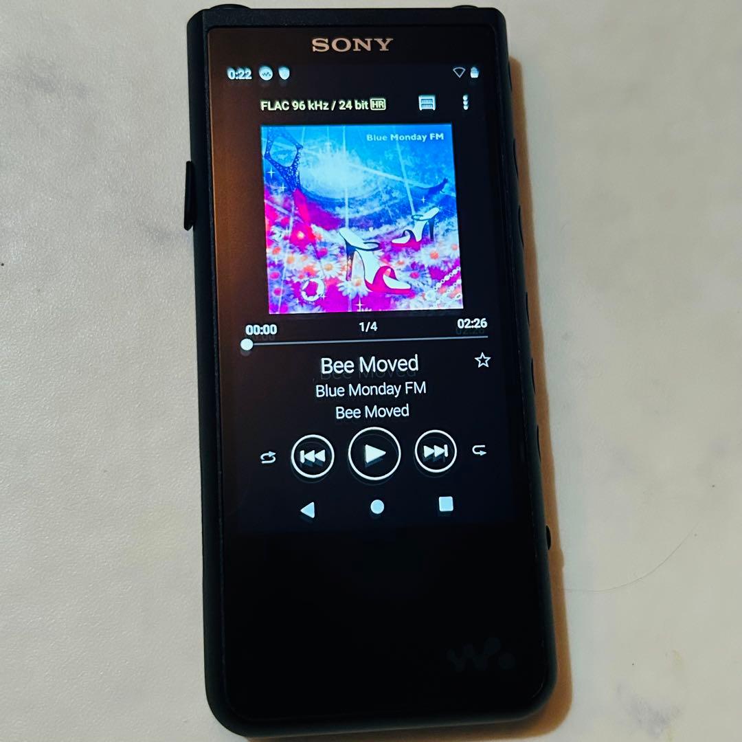 Sony Digital Audio Players Nw-Zx507